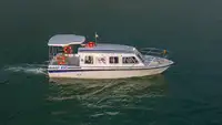 سفينة سياحية للبيع