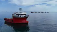 قوارب العمل للبيع