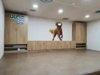 سفينة مبردة للبيع