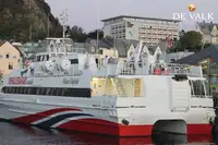 قارب مزدوج الهيكل للبيع