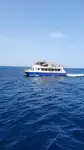 كاتاماران للبيع
