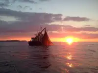 Trawler للبيع