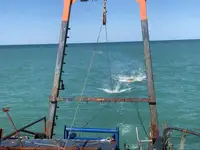 قوارب العمل للبيع