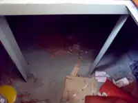 سفينة سحب للبيع