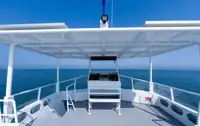 قارب مزدوج الهيكل للبيع