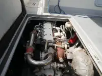 قارب مزدوج الهيكل للبيع