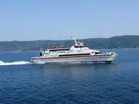 كاتاماران للبيع