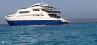 دعم الغوص للبيع
