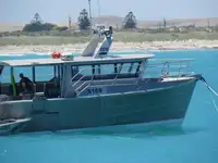 قوارب العمل للبيع