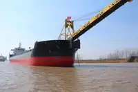 الناقل السائبة للبيع