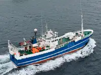 Trawler للبيع