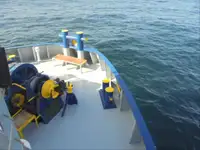 سفينة مبردة للبيع
