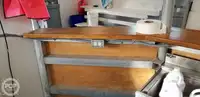 قارب مزدوج الهيكل للبيع