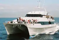 كاتاماران للبيع