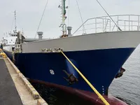 General Cargo/Multi-purpose للبيع