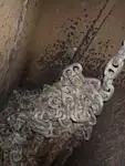 سفينة نقل بضائع سائبة للبيع
