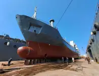 الناقل السائبة للبيع