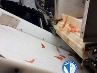 سفينة صيد بالجر للبيع