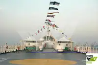 سفينة نقل بضائع بالمركبات (Ro-Ro) للبيع