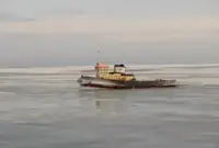 زورق السحب للبيع