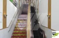 Ro-Ro ship للبيع