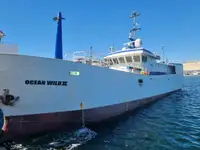 Longliner للبيع