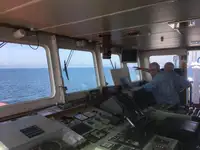 سفينة نقل بضائع سائبة للبيع