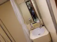 سفينة نقل بضائع سائبة للبيع