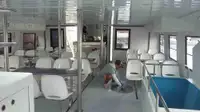 قارب مزدوج الهيكل للبيع