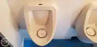 قارب مزدوج الهيكل للبيع