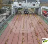 سفينة نقل بضائع بالمركبات (Ro-Ro) للبيع