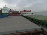 الناقل السائبة للبيع