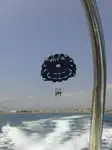 قاطعة للبيع