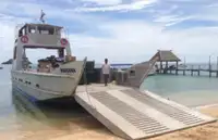 سفينة إنزال، ناقلة للبيع