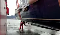 قوارب العمل للبيع