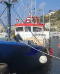 Trawler للبيع