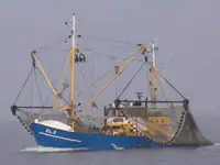 Trawler للبيع