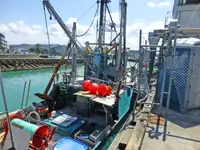 Trawler للبيع