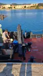 قوارب العمل للبيع