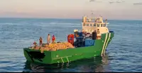 قوارب العمل للبيع