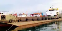 سفينة إنزال، ناقلة للبيع