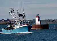Purse seiner للبيع