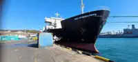 Ro-Ro ship للبيع