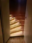 سفينة سياحية للبيع