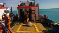 قوارب العمل للبيع