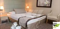 سفينة سياحية للبيع