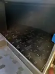 سفينة سياحية للبيع
