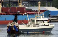 Trawler للبيع