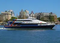 كاتاماران للبيع