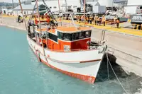 Trawler للبيع